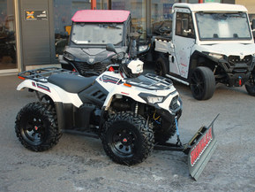 Kawasaki Brute Force