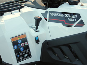 Kawasaki Brute Force