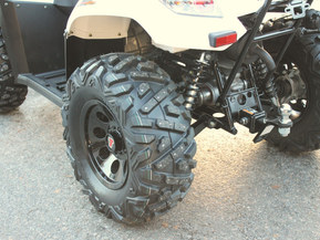 Kawasaki Brute Force