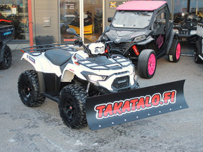 Kawasaki Brute Force