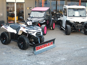 Kawasaki Brute Force