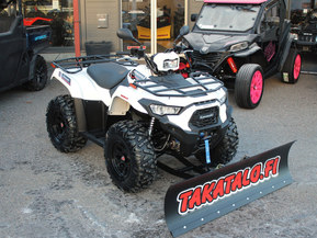 Kawasaki Brute Force