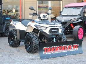 Kawasaki Brute Force