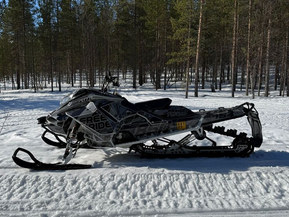 Ski-Doo Freeride