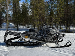 Ski-Doo Freeride