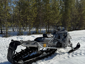 Ski-Doo Freeride