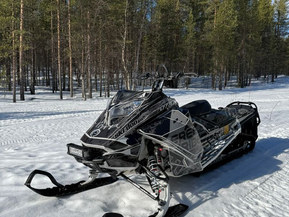 Ski-Doo Freeride