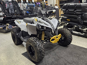 Can-Am renegade