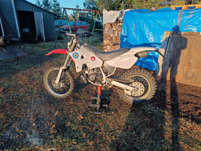 Yamaha DT