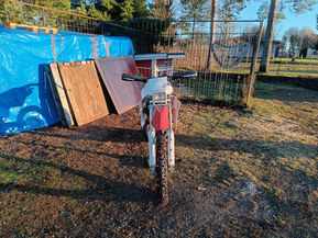Yamaha DT