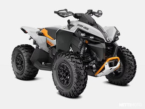 Can-Am renegade
