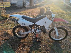 Yamaha DT