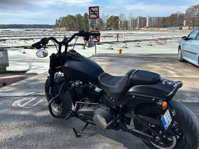 Harley-Davidson Softail