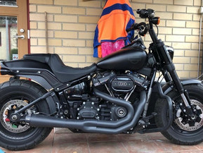 Harley-Davidson Softail