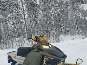 Ski-Doo MX Z