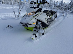 Ski-Doo Freeride
