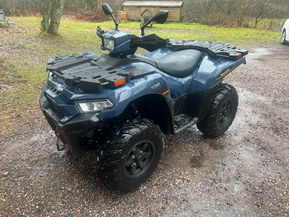 Kawasaki Brute Force