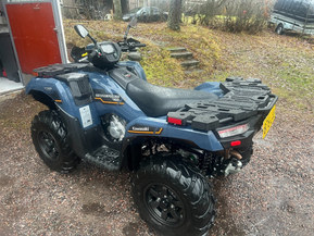 Kawasaki Brute Force