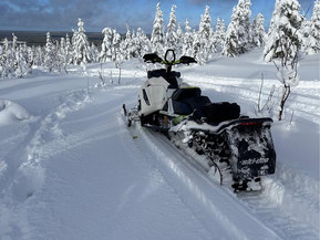 Ski-Doo Freeride