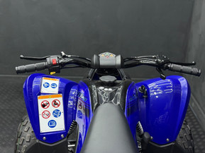 Yamaha YFM