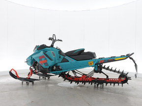 Ski-Doo Freeride