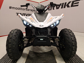 Linhai ATV 110