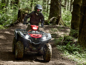 Yamaha Grizzly