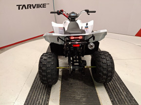 Linhai ATV 110