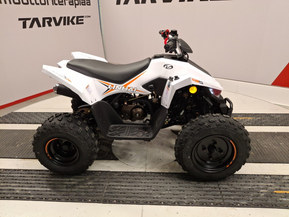 Linhai ATV 110