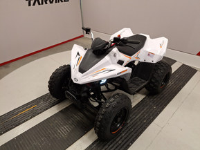 Linhai ATV 110
