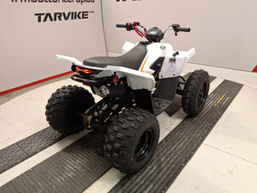 Linhai ATV 110