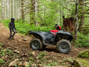 Yamaha Grizzly