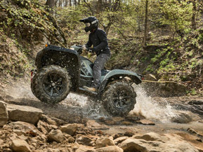 Yamaha Grizzly