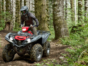 Yamaha Grizzly