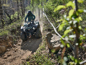 Yamaha Grizzly