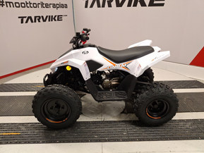 Linhai ATV 110