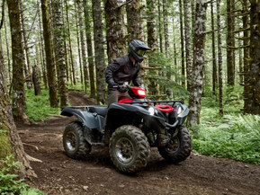 Yamaha Grizzly