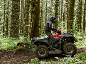 Yamaha Grizzly