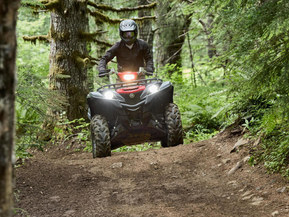 Yamaha Grizzly