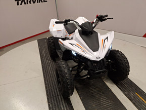 Linhai ATV 110