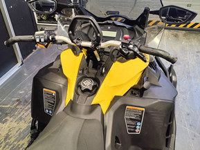 Ski-Doo Expedition