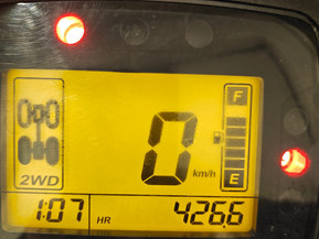 Kawasaki Brute Force