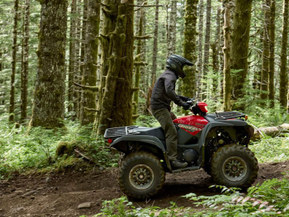 Yamaha Grizzly