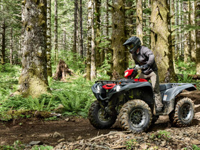 Yamaha Grizzly