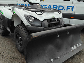 Kawasaki Brute Force