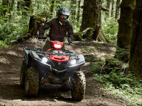 Yamaha Grizzly