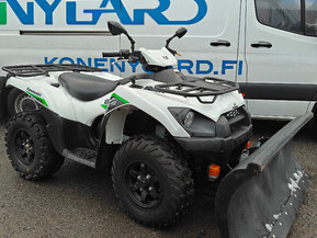 Kawasaki Brute Force