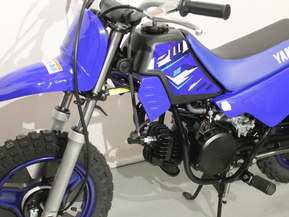 Yamaha PW