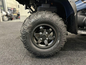 Kawasaki Brute Force