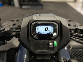 Kawasaki Brute Force